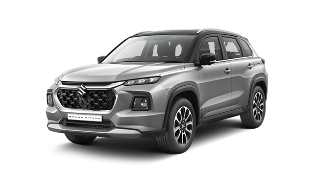 GX - Pearl Splendid Silver + Black